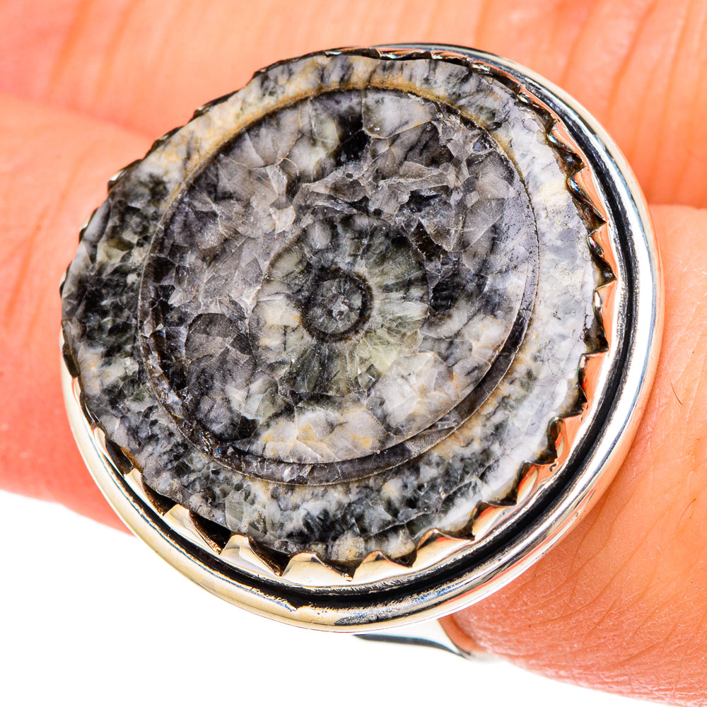 Goniatite Fossil Rings handcrafted by Ana Silver Co - RING96286