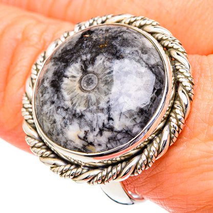 Moroccan Goniatite Fossil Rings handcrafted by Ana Silver Co - RING96599