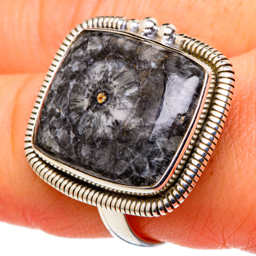 Moroccan Goniatite Fossil Rings handcrafted by Ana Silver Co - RING96955