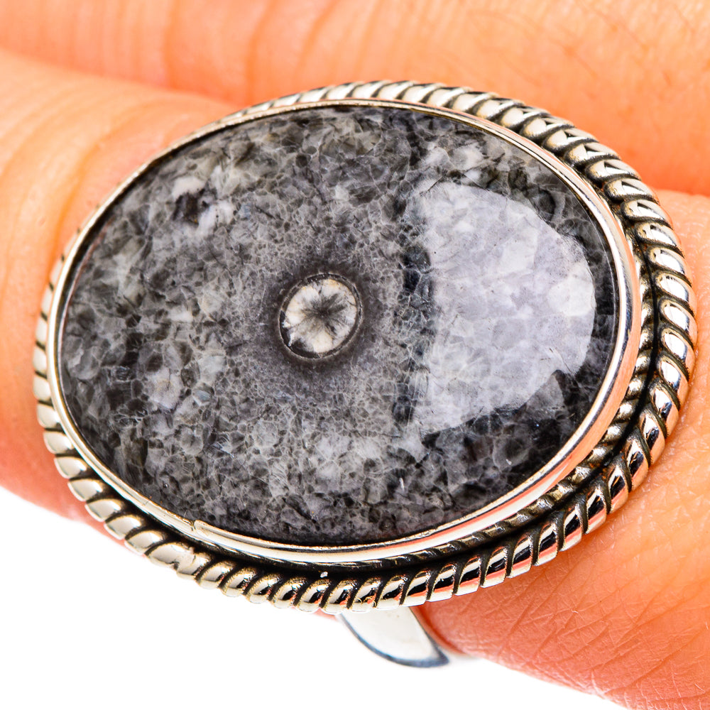Moroccan Goniatite Fossil Rings handcrafted by Ana Silver Co - RING96956