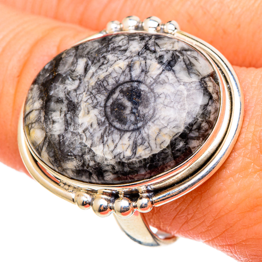Moroccan Goniatite Fossil Rings handcrafted by Ana Silver Co - RING97358