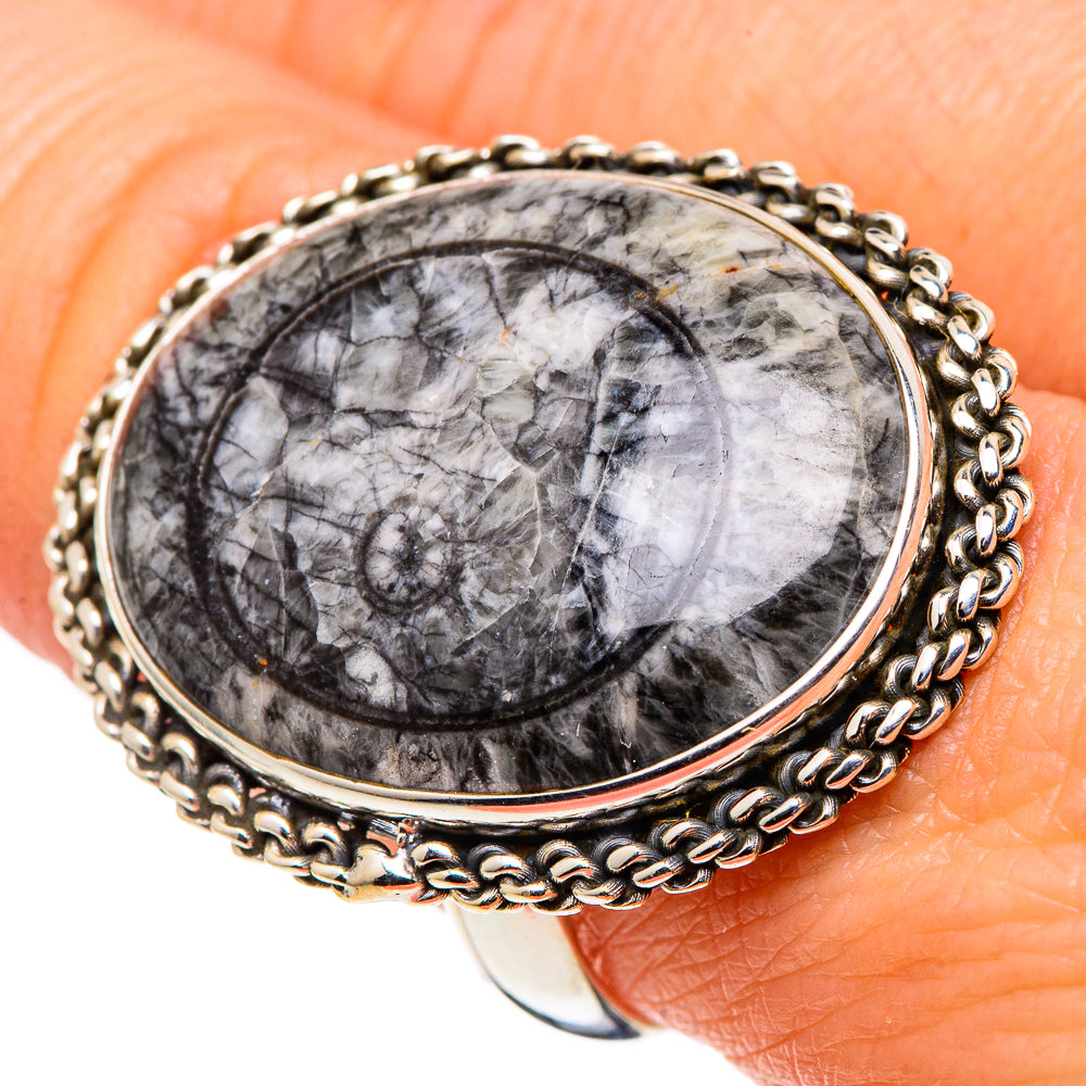 Moroccan Goniatite Fossil Rings handcrafted by Ana Silver Co - RING97610