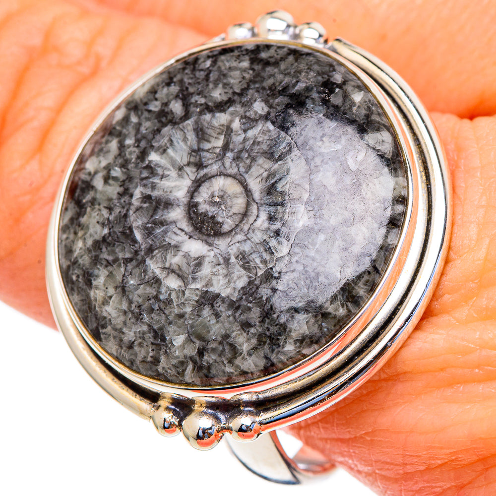 Moroccan Goniatite Fossil Rings handcrafted by Ana Silver Co - RING98267