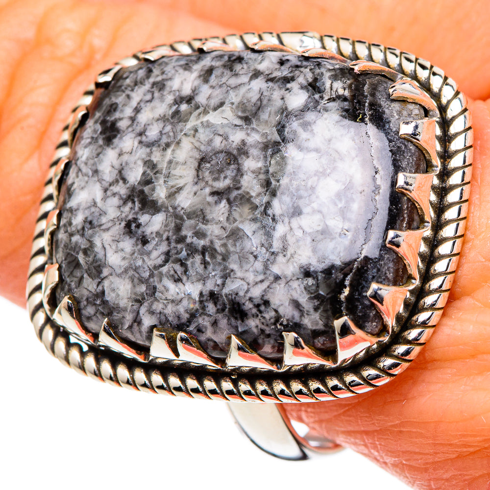 Large oval goniatite fossil ring, 925 silver, close-up gray marbled stone and scalloped rim