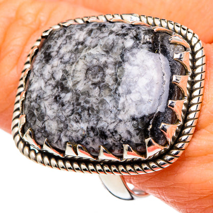 Large oval goniatite fossil ring, 925 silver, close-up gray marbled stone and scalloped rim
