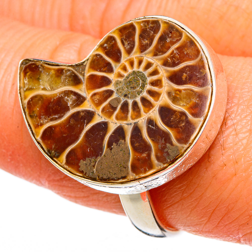 Ammonite Fossil Rings handcrafted by Ana Silver Co - RING98581