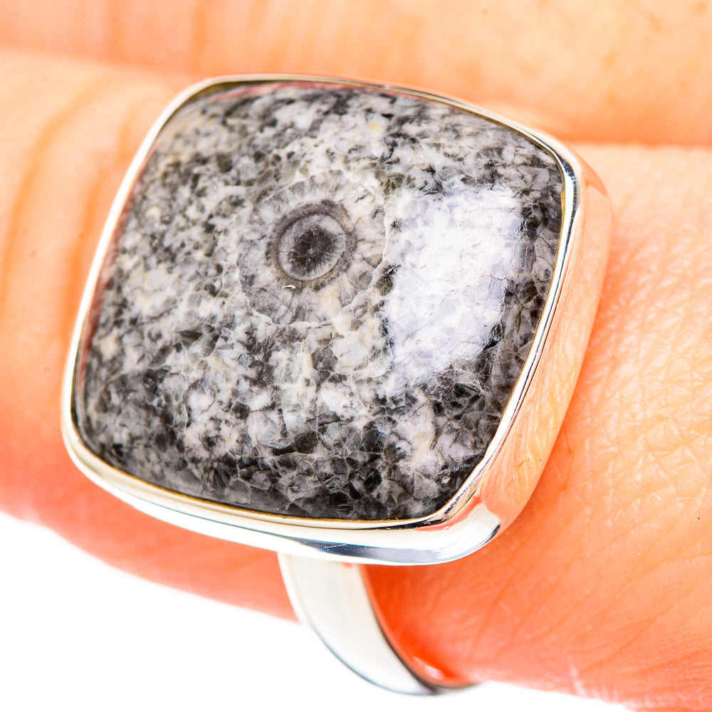 Moroccan Goniatite Fossil Rings handcrafted by Ana Silver Co - RING99312