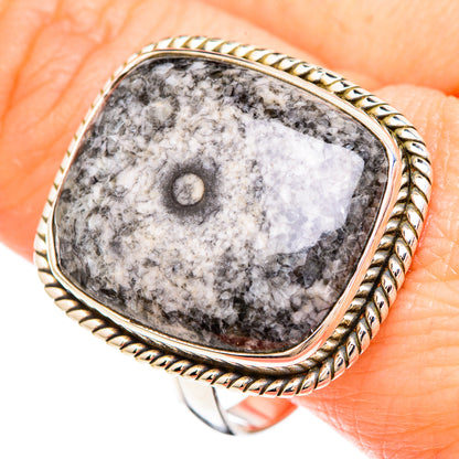 Moroccan Goniatite Fossil Rings handcrafted by Ana Silver Co - RING99455