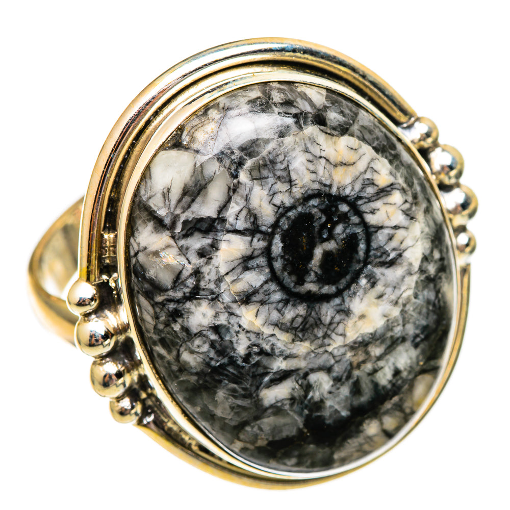 Large sterling silver ring with oval goniatite fossil center, gold-tone bezel and bead detail
