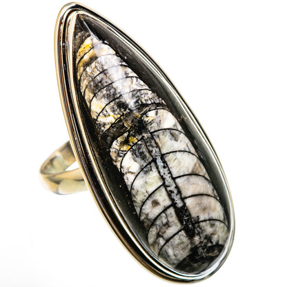 Sterling silver orthoceras fossil oval ring, black bezel with marbled white lines