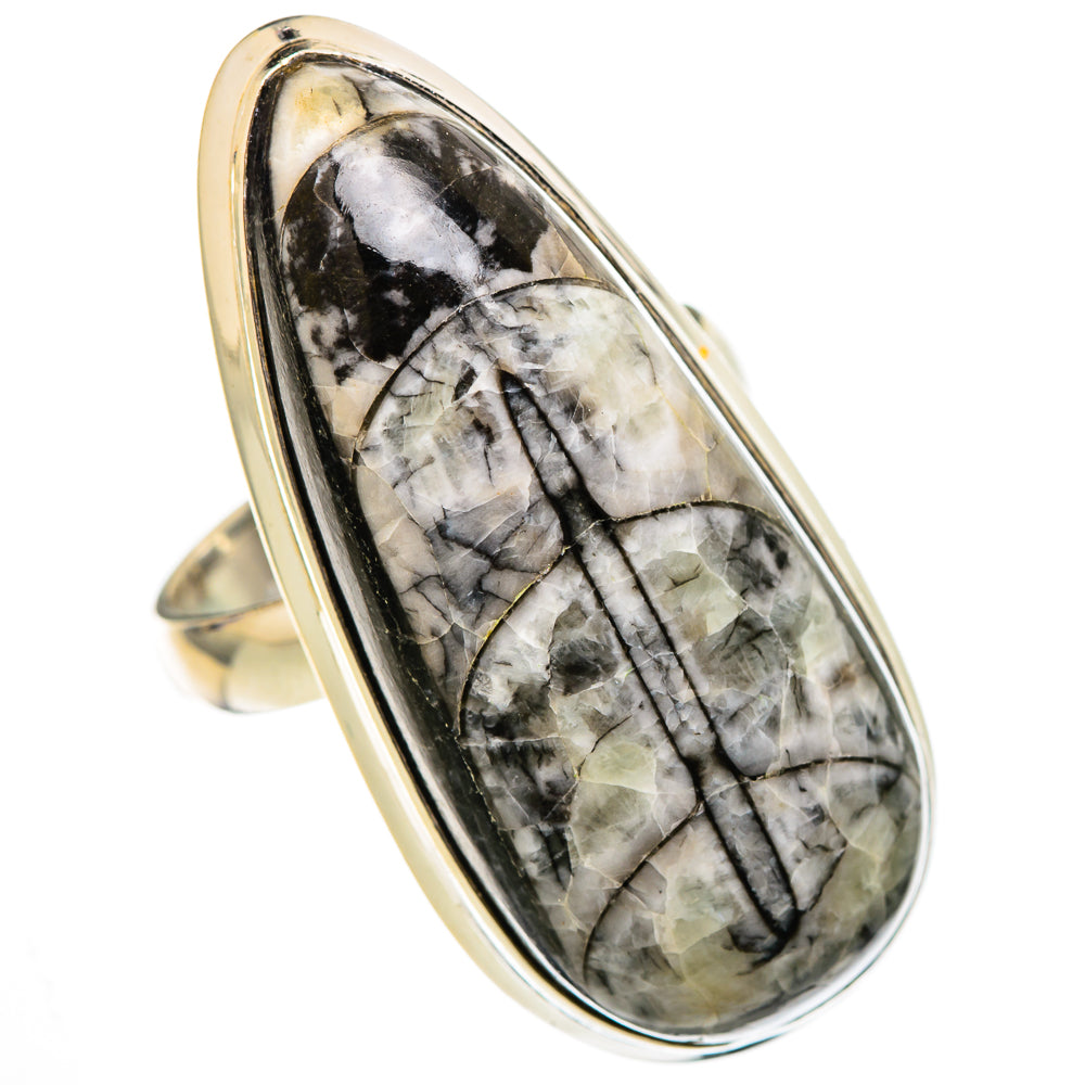 Orthoceras Fossil Rings handcrafted by Ana Silver Co - RING101864 - Photo 2