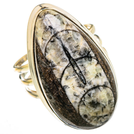 Orthoceras Fossil Rings handcrafted by Ana Silver Co - RING102165
