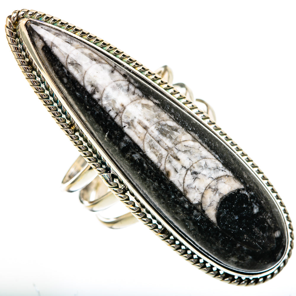 Orthoceras Fossil Rings handcrafted by Ana Silver Co - RING102204 - Photo 2