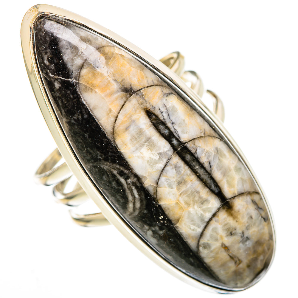 Orthoceras Fossil Rings handcrafted by Ana Silver Co - RING102206 - Photo 2