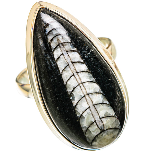 Orthoceras Fossil Rings handcrafted by Ana Silver Co - RING102759