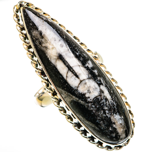Orthoceras Fossil Rings handcrafted by Ana Silver Co - RING102796