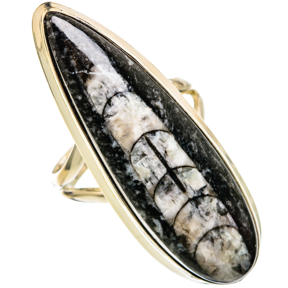 Orthoceras Fossil Rings handcrafted by Ana Silver Co - RING102840