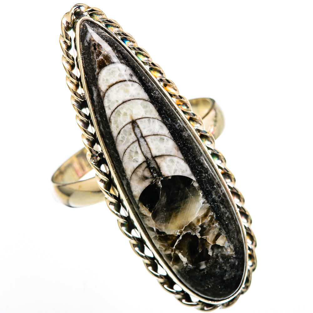 Orthoceras Fossil Rings handcrafted by Ana Silver Co - RING102988