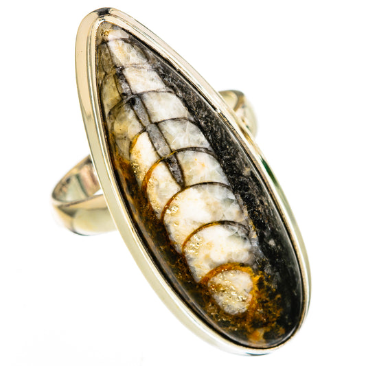 Orthoceras Fossil Rings handcrafted by Ana Silver Co - RING103141