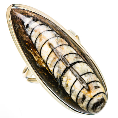 Orthoceras Fossil Rings handcrafted by Ana Silver Co - RING103375 - Photo 2