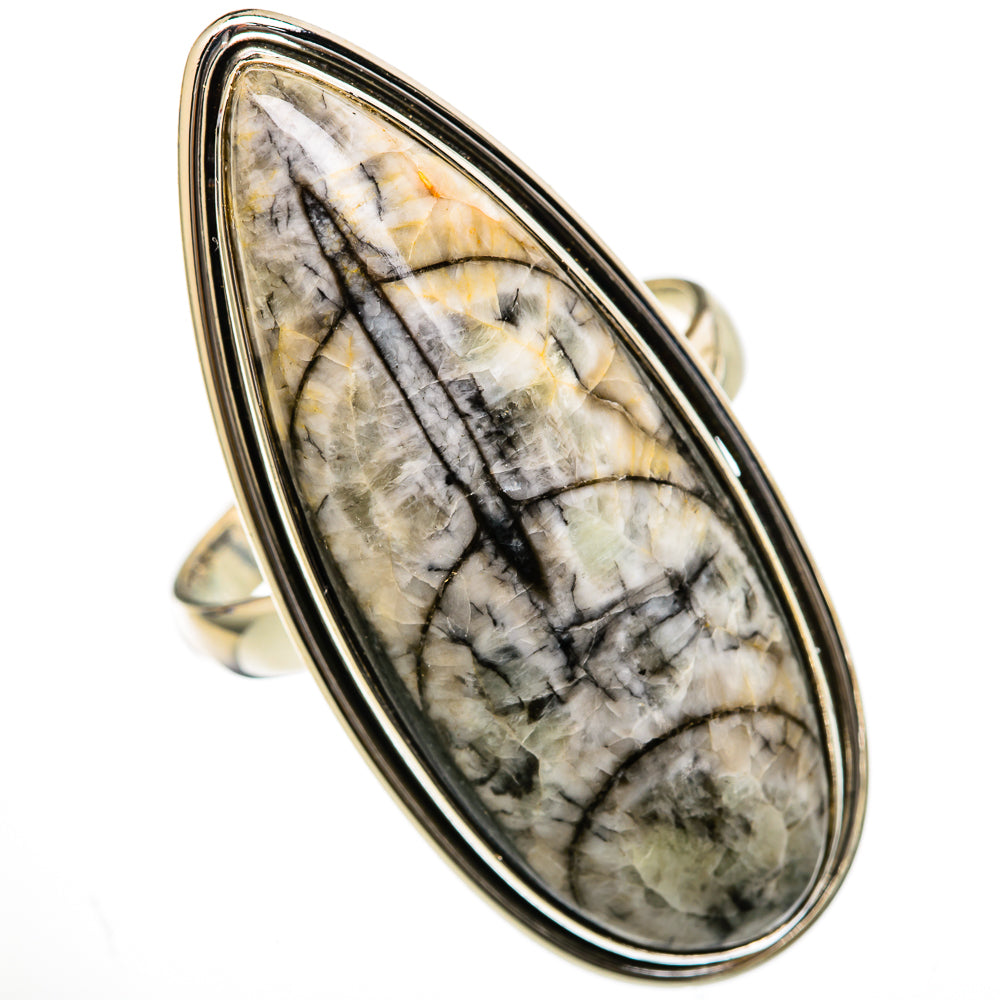 Orthoceras Fossil Rings handcrafted by Ana Silver Co - RING103421 - Photo 2