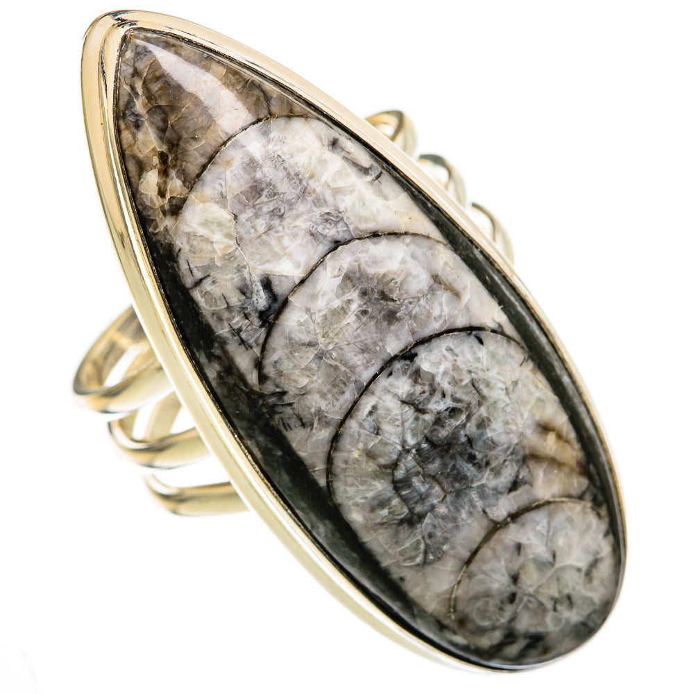Orthoceras Fossil Rings handcrafted by Ana Silver Co - RING103458 - Photo 2