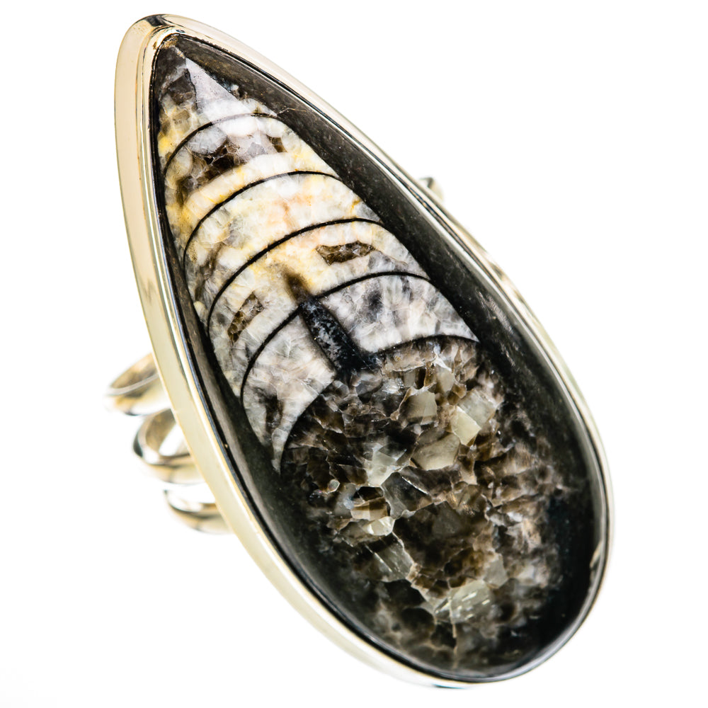 Orthoceras Fossil Rings handcrafted by Ana Silver Co - RING103680 - Photo 2