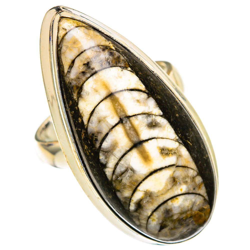 Orthoceras Fossil Rings handcrafted by Ana Silver Co - RING103740 - Photo 2