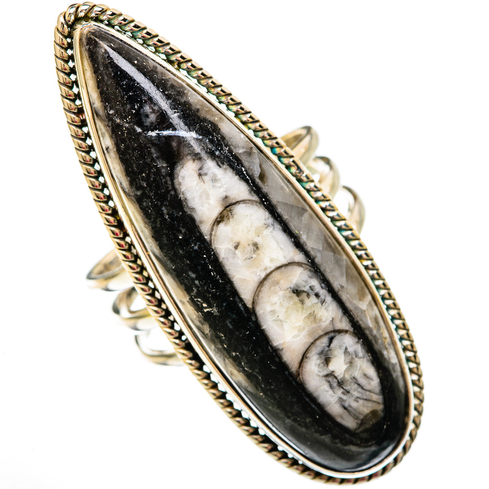 Orthoceras Fossil Rings handcrafted by Ana Silver Co - RING103883 - Photo 2