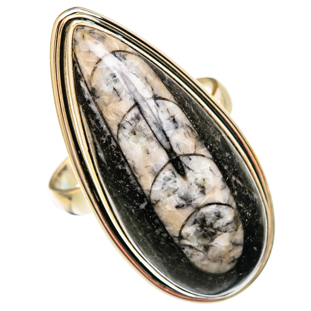 Orthoceras Fossil Rings handcrafted by Ana Silver Co - RING103884 - Photo 2