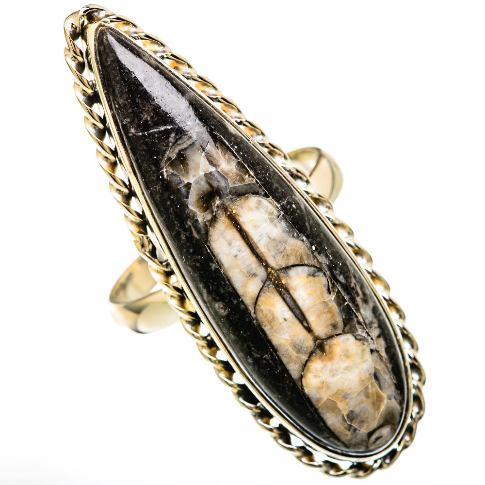 Orthoceras Fossil Rings handcrafted by Ana Silver Co - RING103959 - Photo 2