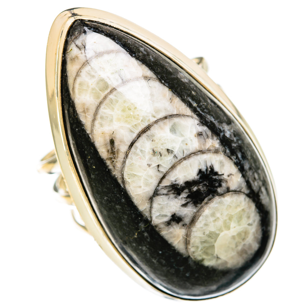 Oval Orthoceras fossil inlay ring with dark bezel, 925 sterling silver