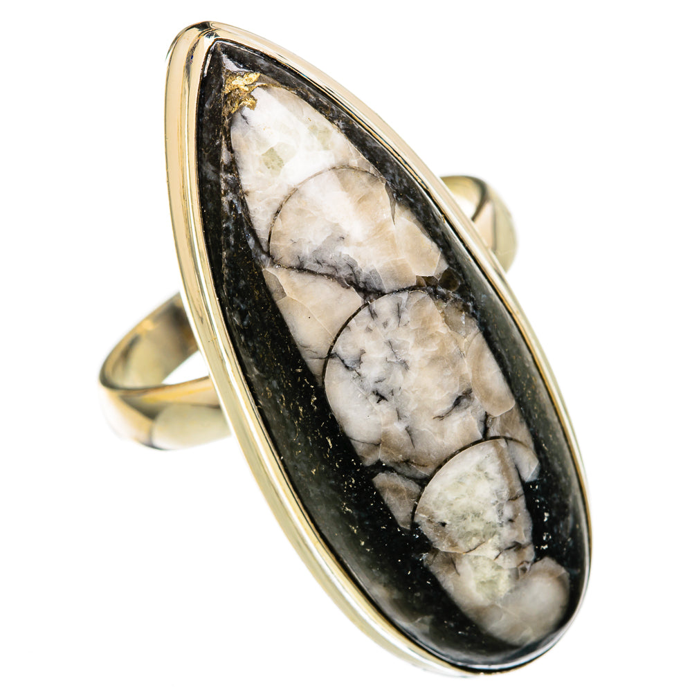 Orthoceras Fossil Rings handcrafted by Ana Silver Co - RING104075 - Photo 2
