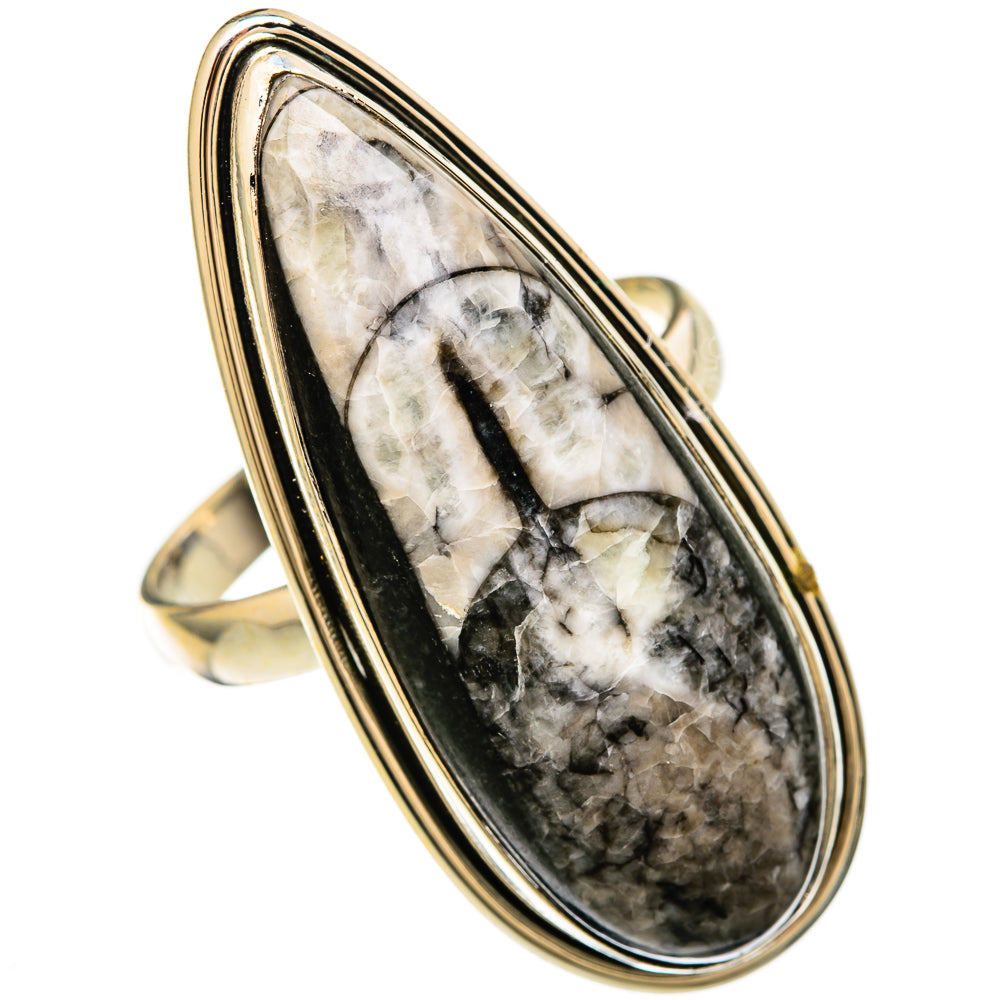 Orthoceras Fossil Rings handcrafted by Ana Silver Co - RING104076