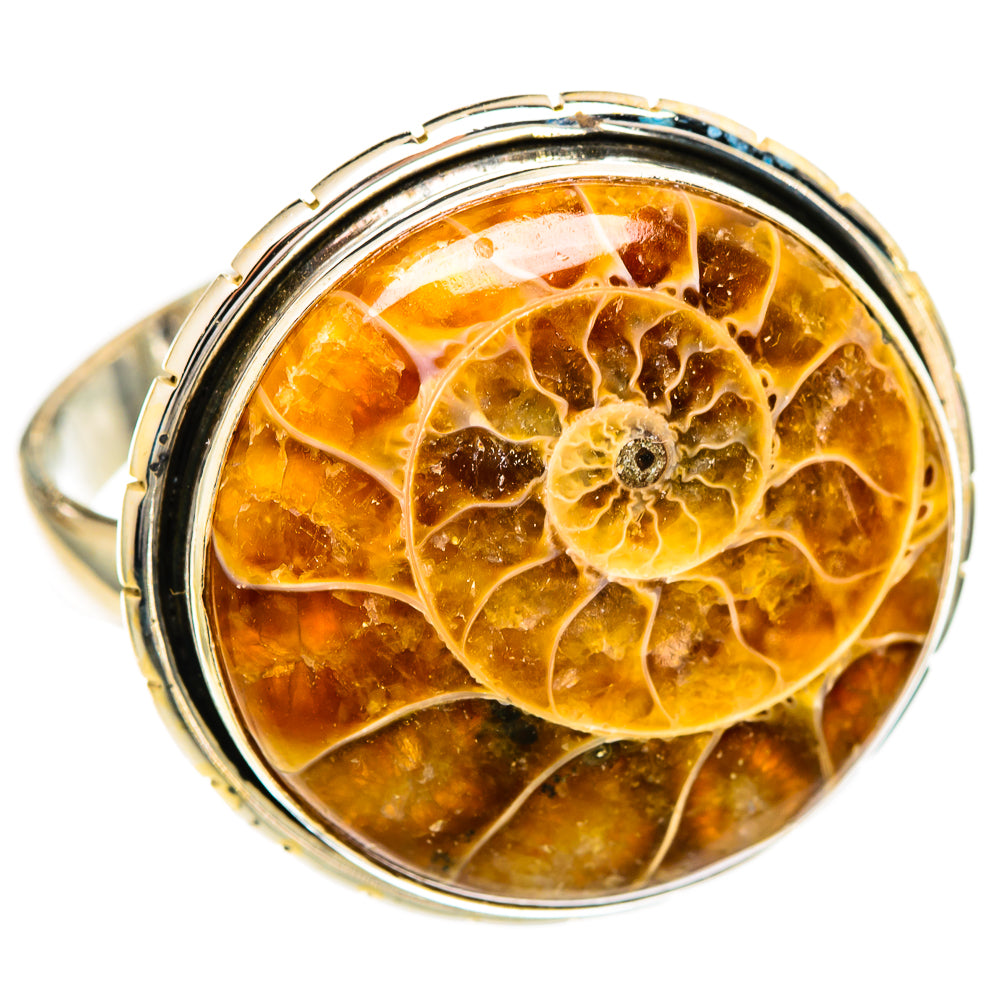 Ammonite Fossil Rings handcrafted by Ana Silver Co - RING110139 - Photo 2