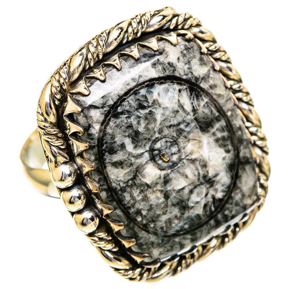 Large oval fossil stone ring in 925 silver with jagged bezel and braided edge, size 10.25