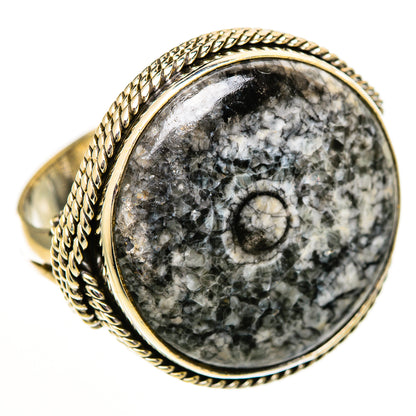 Moroccan Goniatite Fossil Rings handcrafted by Ana Silver Co - RING111047 - Photo 2