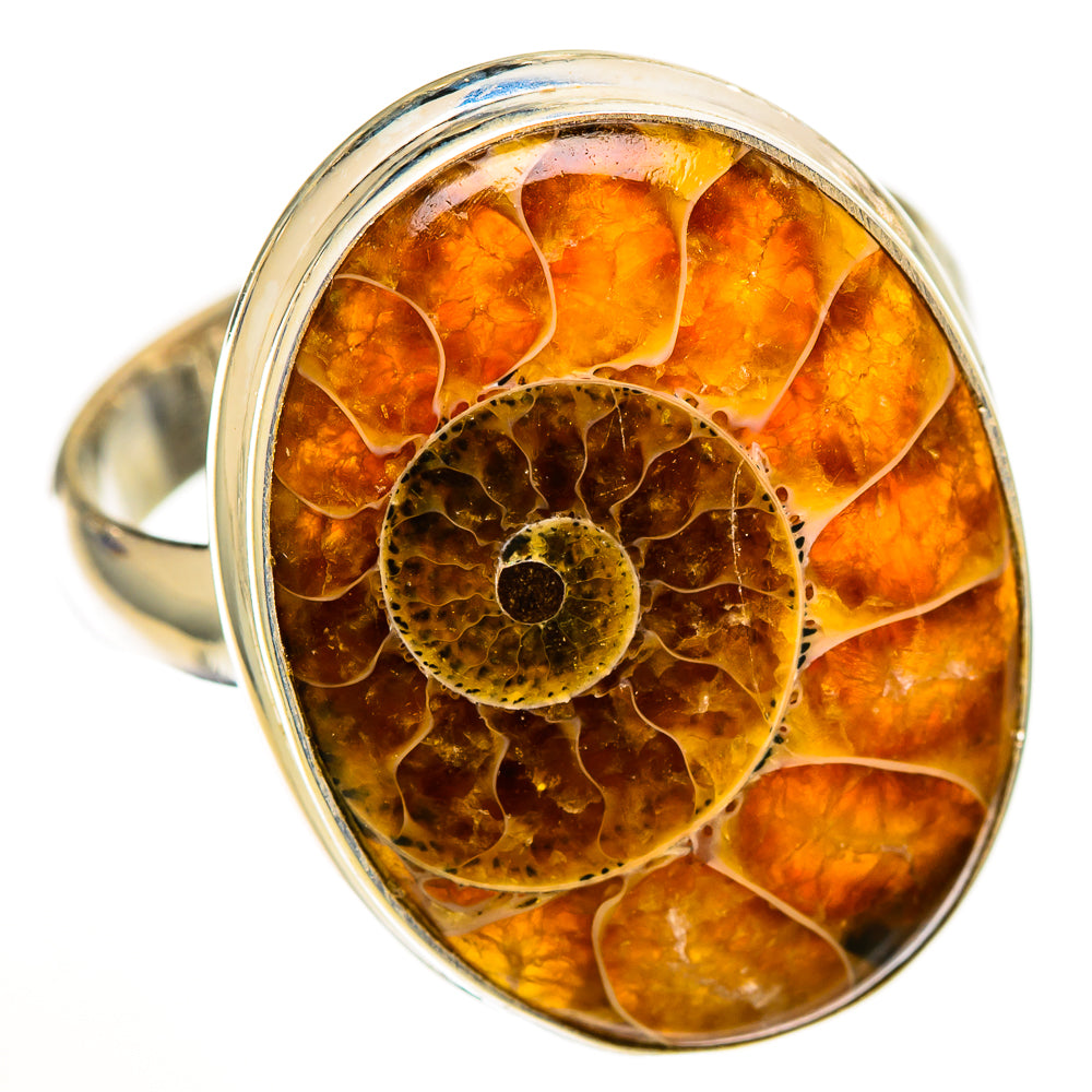 Ammonite Fossil Rings handcrafted by Ana Silver Co - RING111142 - Photo 2