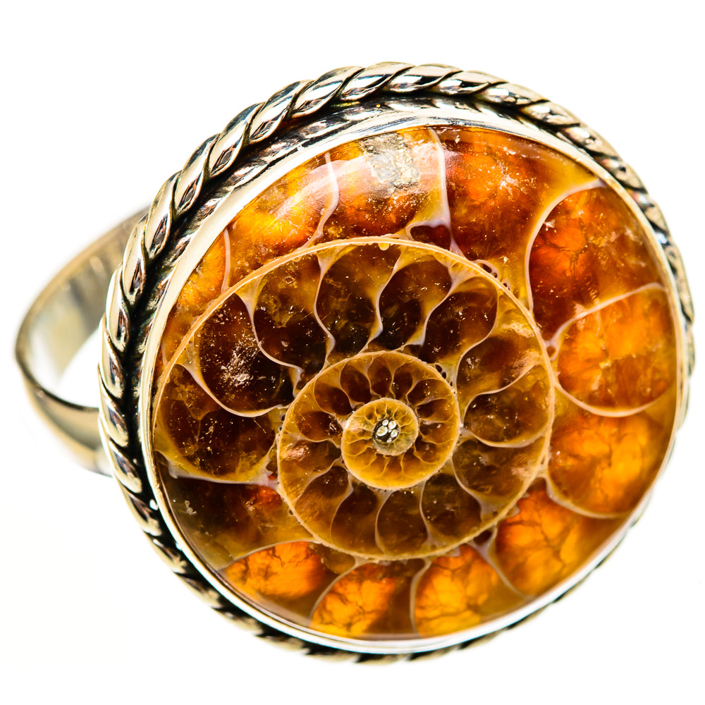 Ammonite Fossil Rings handcrafted by Ana Silver Co - RING111276 - Photo 2