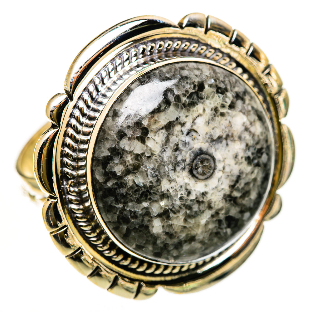 Moroccan Goniatite Fossil Rings handcrafted by Ana Silver Co - RING112432 - Photo 2