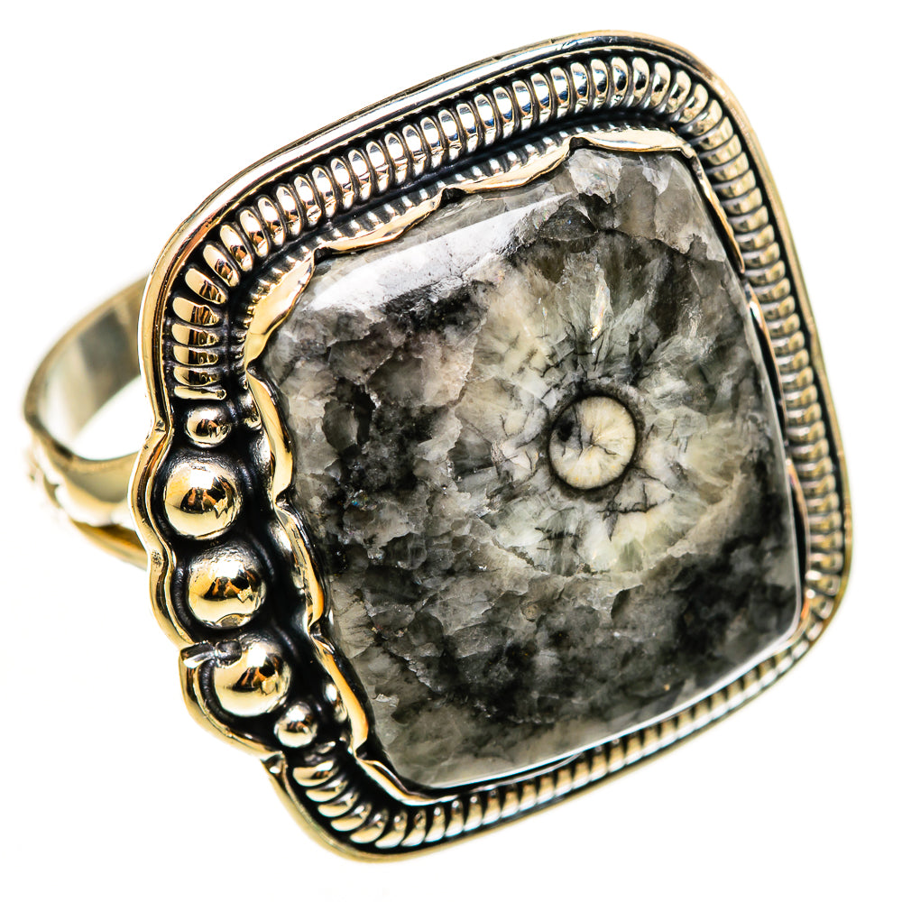 Moroccan Goniatite Fossil Rings handcrafted by Ana Silver Co - RING112477 - Photo 2