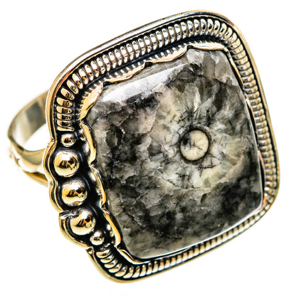 Moroccan Goniatite Fossil Rings handcrafted by Ana Silver Co - RING112477 - Photo 2