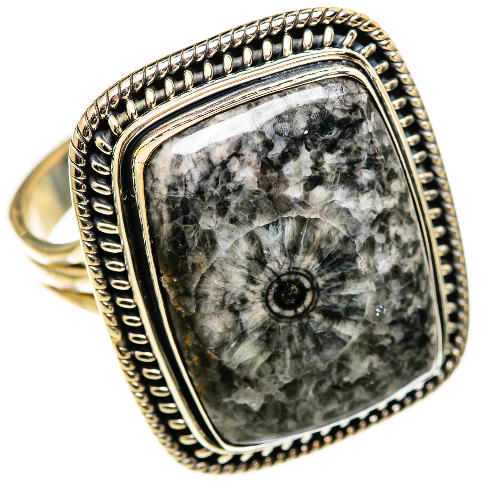 Moroccan Goniatite Fossil Rings handcrafted by Ana Silver Co - RING112899 - Photo 2