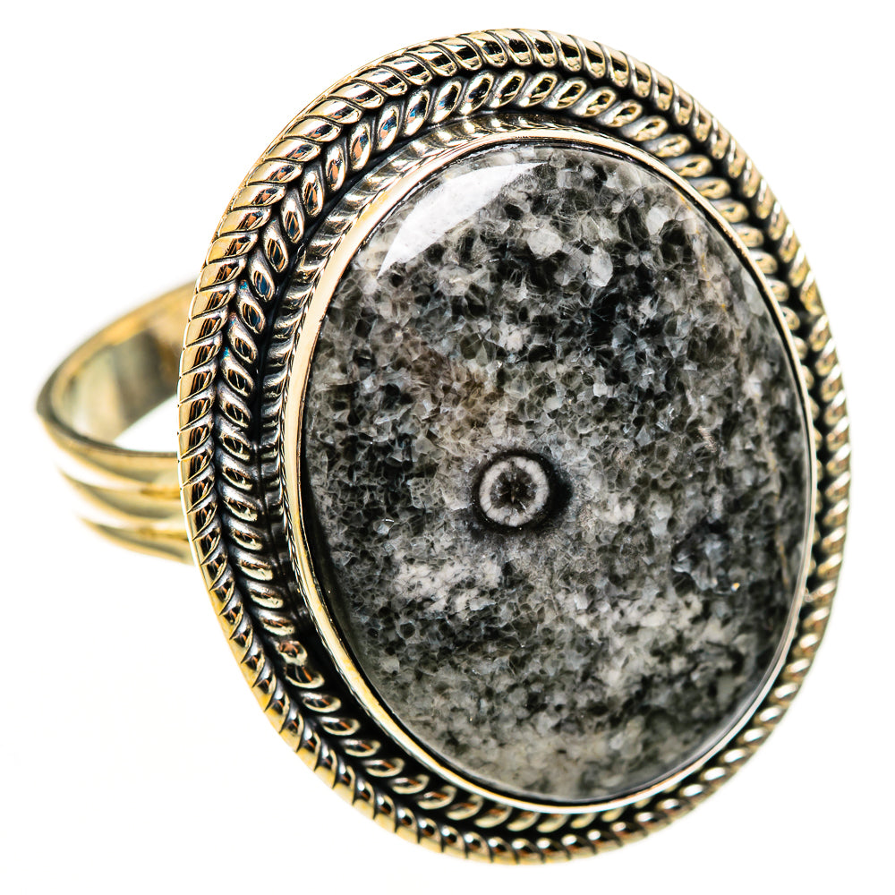 Oval goniatite fossil cabochon ring in silver with rope-textured edge and halo border