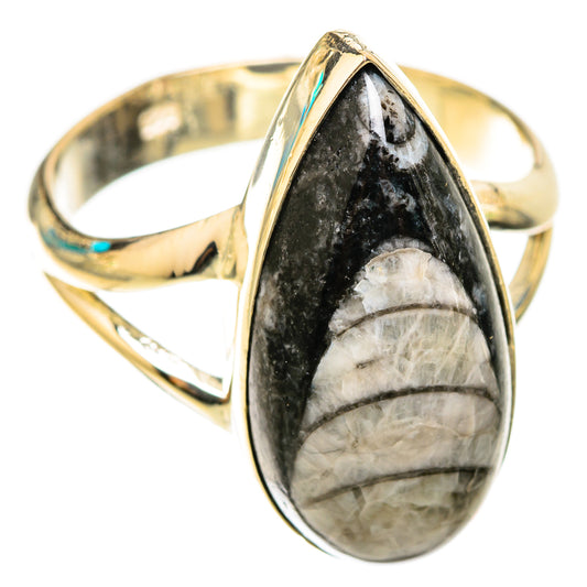 Orthoceras Fossil Rings handcrafted by Ana Silver Co - RING119531 - Photo 2