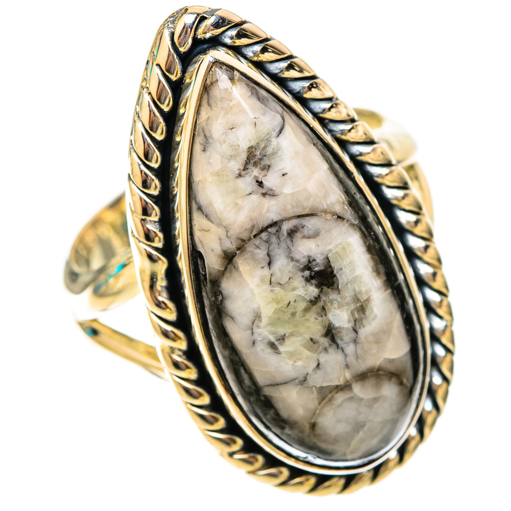 Orthoceras Fossil Rings handcrafted by Ana Silver Co - RING119870 - Photo 2