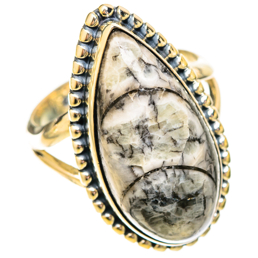 Orthoceras Fossil Rings handcrafted by Ana Silver Co - RING120531 - Photo 2