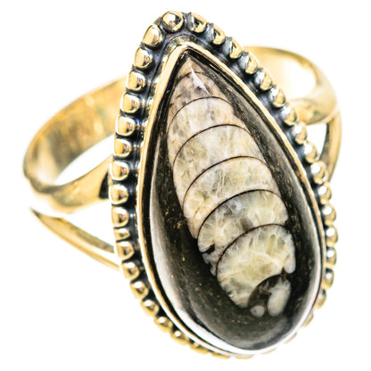 Orthoceras Fossil Rings handcrafted by Ana Silver Co - RING120593 - Photo 2