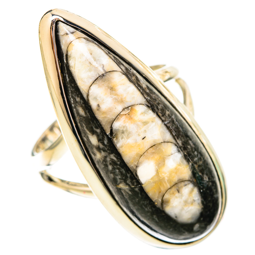 Orthoceras Fossil Rings handcrafted by Ana Silver Co - RING120622 - Photo 2