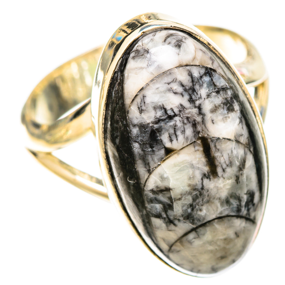 Orthoceras Fossil Rings handcrafted by Ana Silver Co - RING120822 - Photo 2